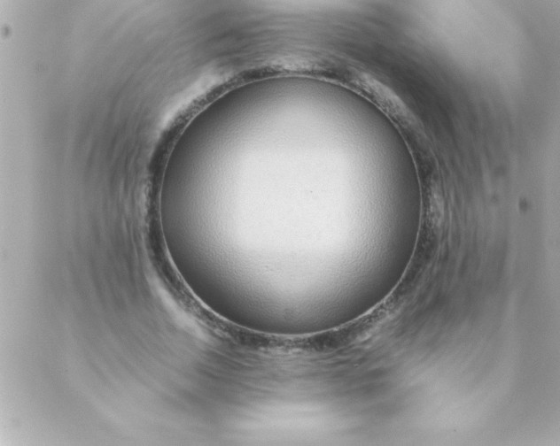 X0000088620730200706151851