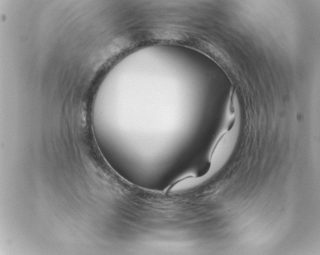 X0000088620731200706151851