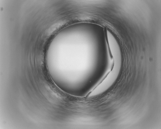 X0000088620732200706151851