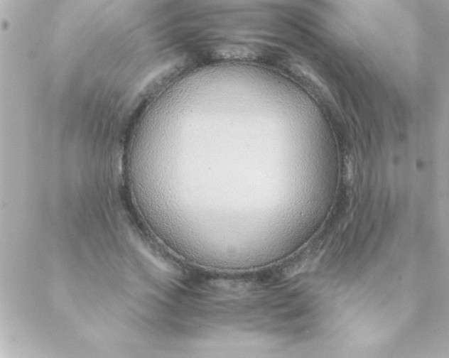 X0000088620733200706151851