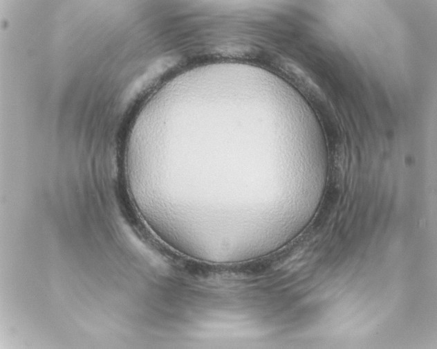 X0000088620734200706151851