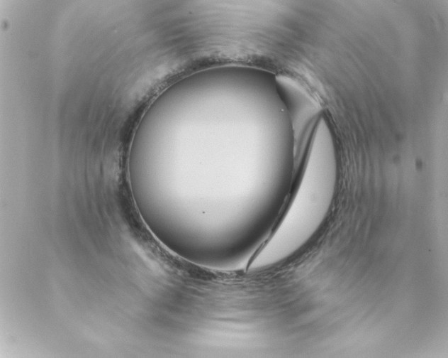 X0000088620736200706151851