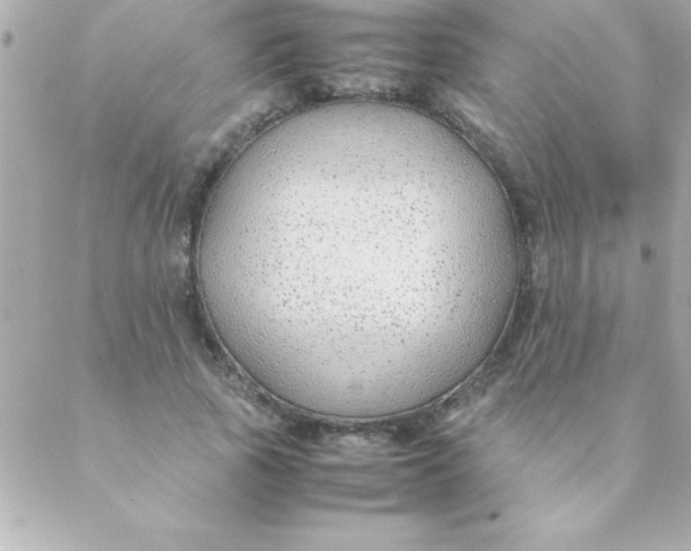 X0000088620737200706151851