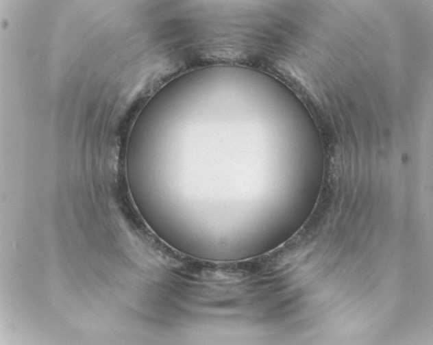 X0000088620739200706151851