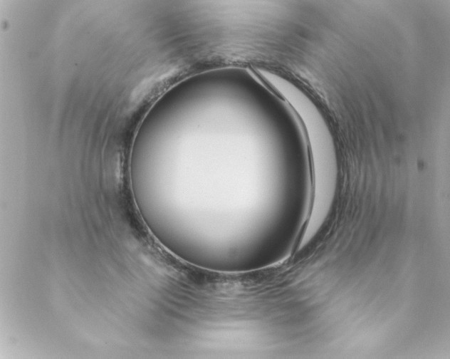 X0000088620740200706151851