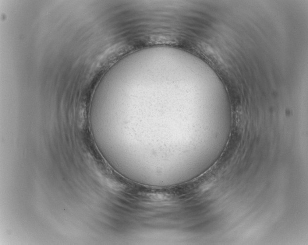 X0000088620741200706151851