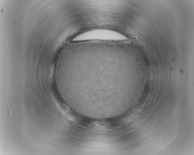 X0000088620742200706151852