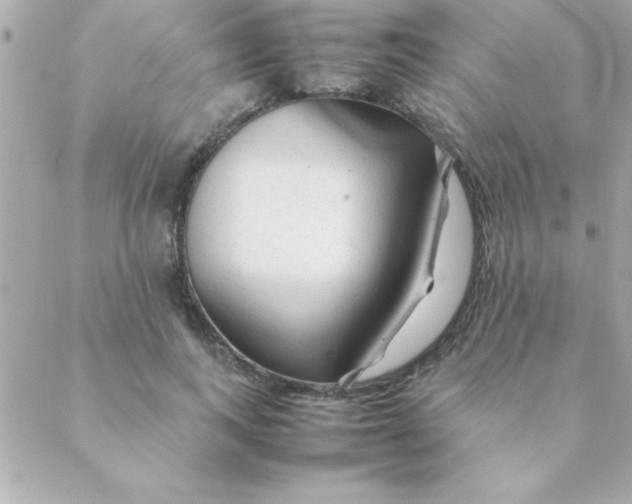 X0000088620743200706151852