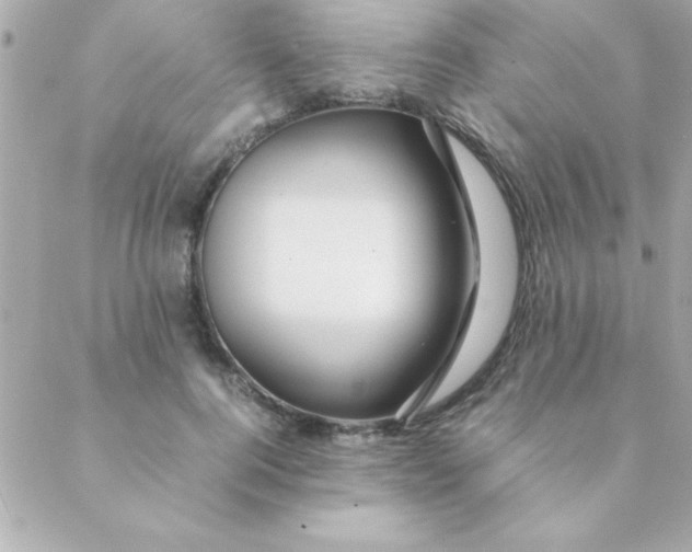 X0000088620744200706151852