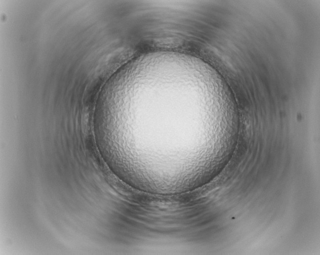 X0000088620745200706151852