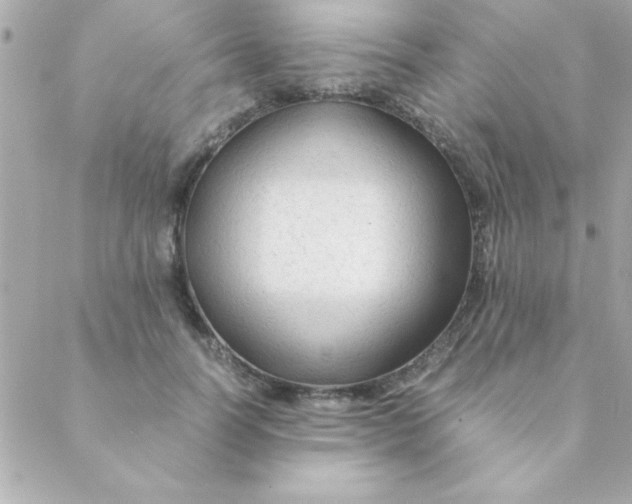 X0000088620746200706151852