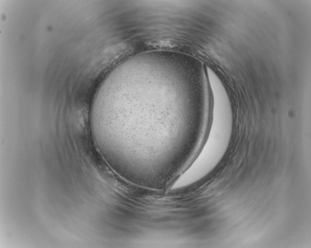 X0000088620747200706151852