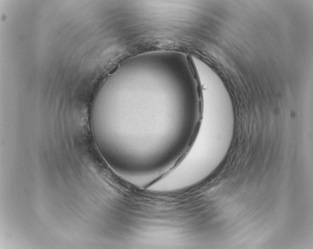 X0000088620748200706151852