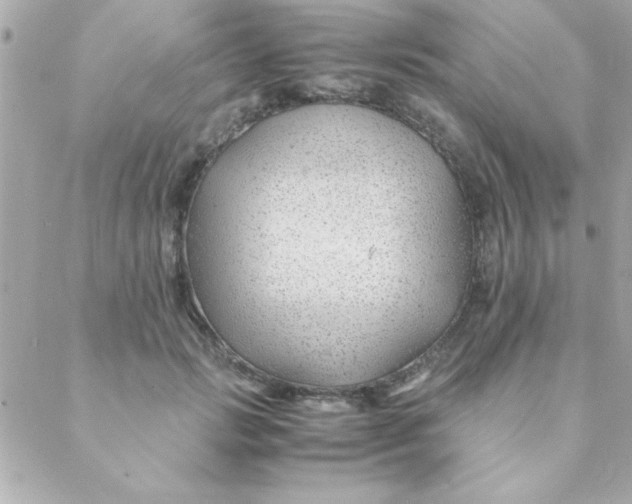 X0000088620749200706151852