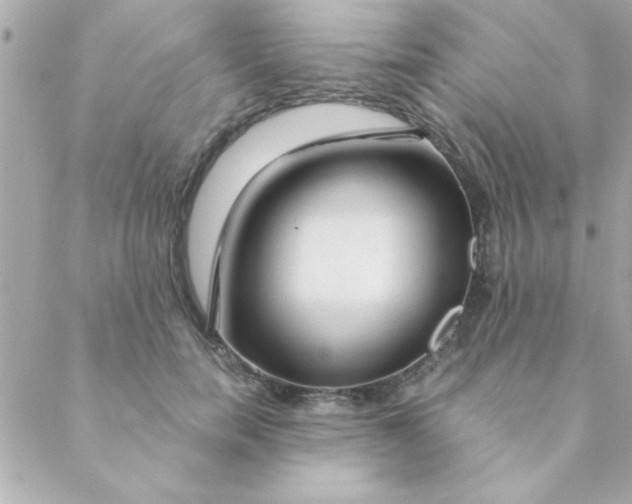 X0000088620750200706151852