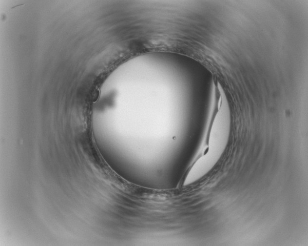 X0000088620751200706151852