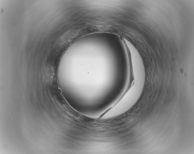 X0000088620752200706151852