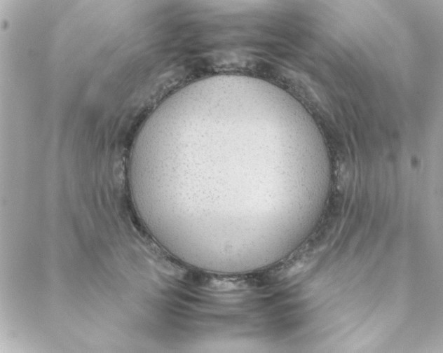 X0000088620753200706151852