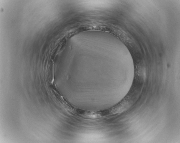 X0000088620754200706151852