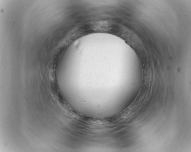 X0000088620755200706151852