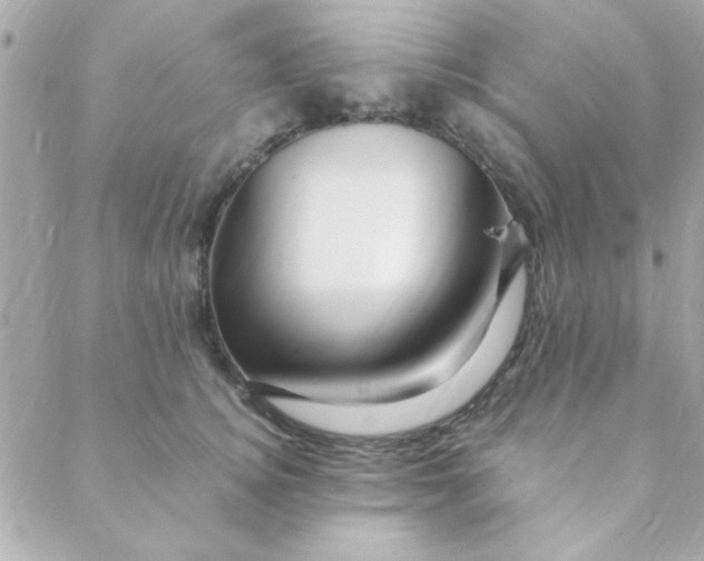 X0000088620756200706151852