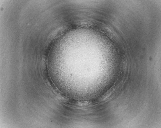 X0000088620757200706151852