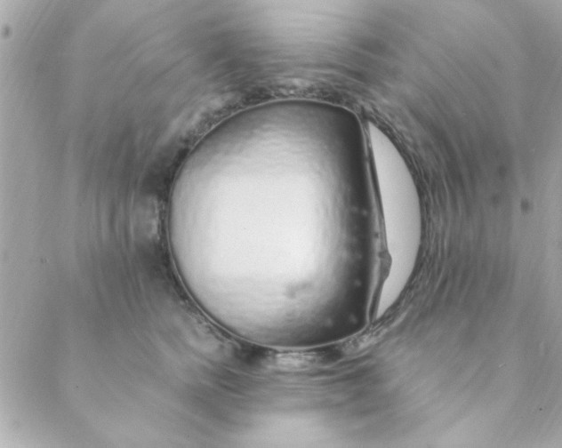 X0000088620758200706151852