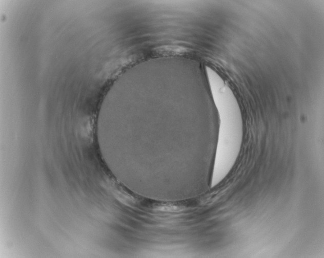 X0000088620759200706151852