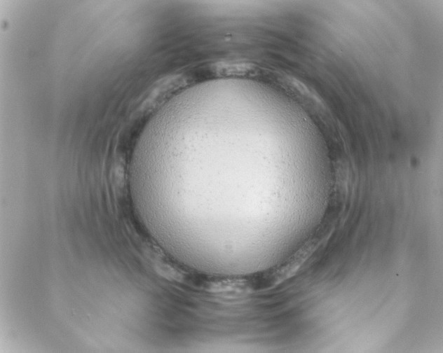 X0000088620761200706151852