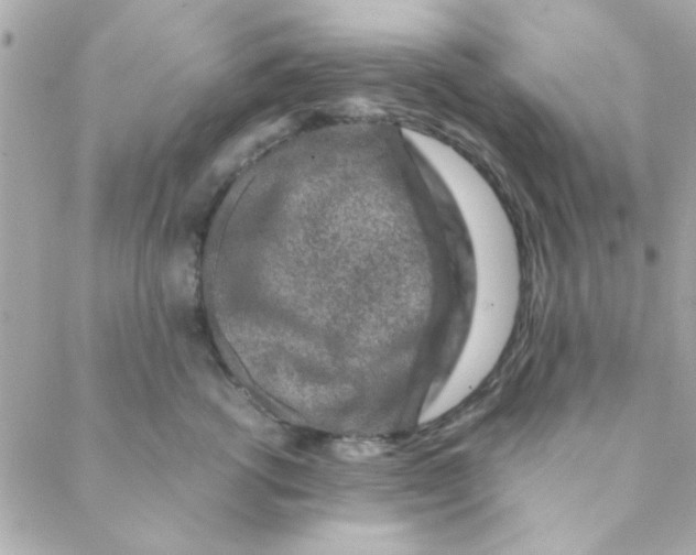 X0000088620762200706151852