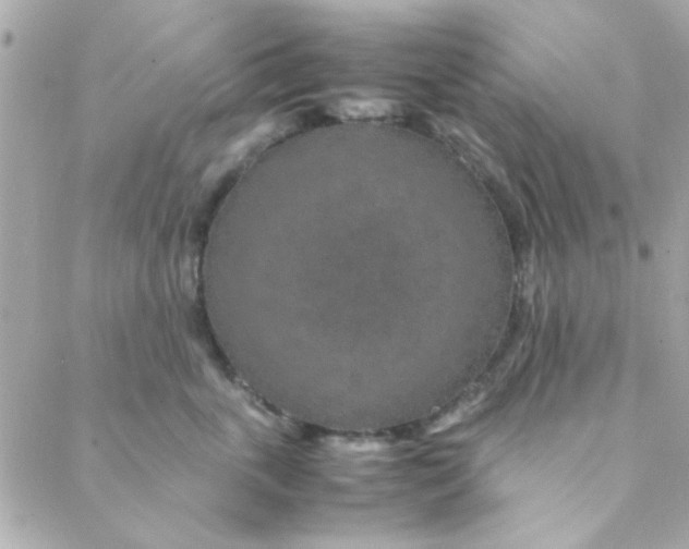 X0000088620763200706151852