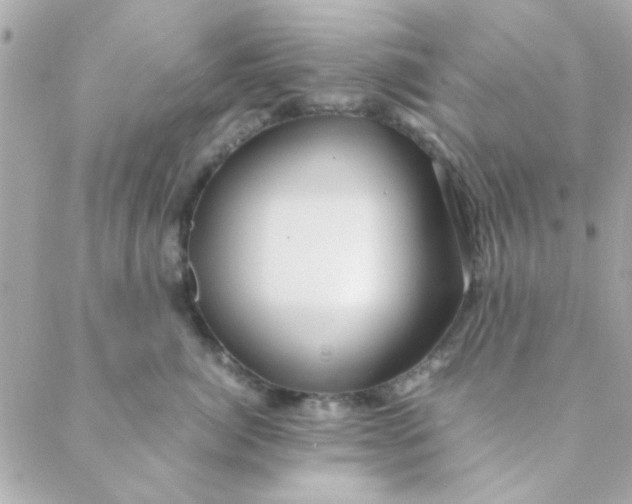 X0000088620764200706151852