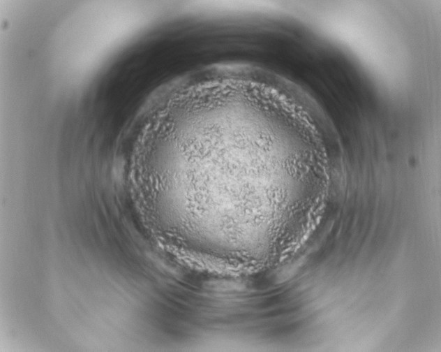 X0000088620765200706151852