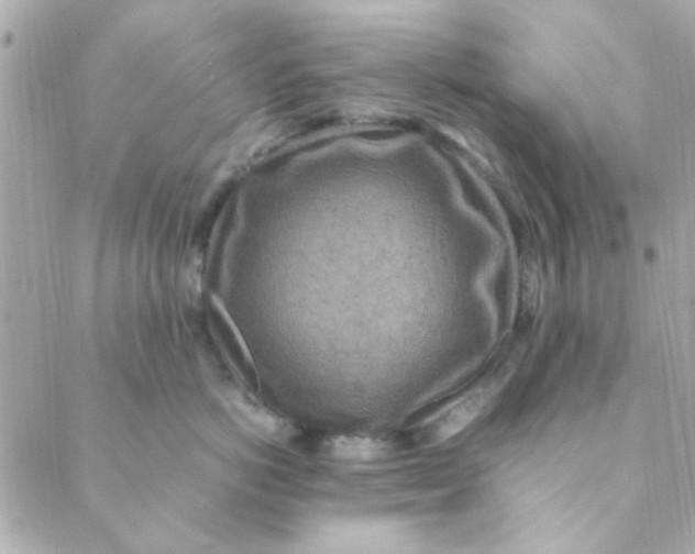 X0000088620766200706151852