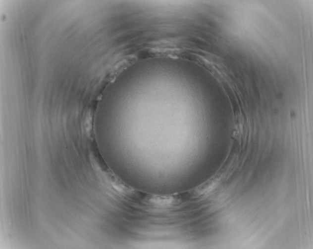 X0000088620767200706151852