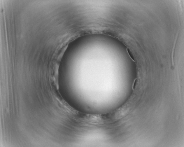 X0000088620768200706151852