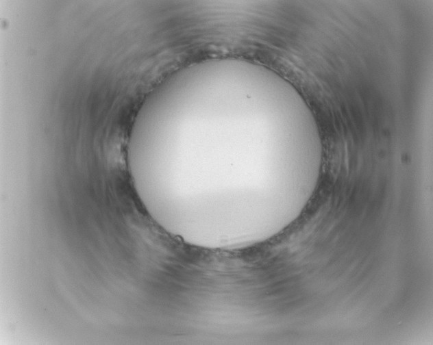 X0000088620770200706151851