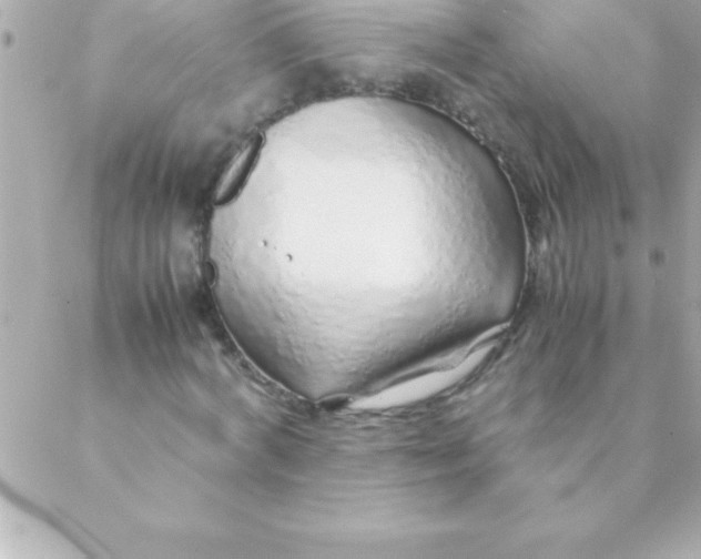 X0000088620772200706151851