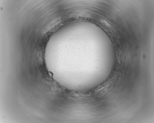 X0000088620774200706151851