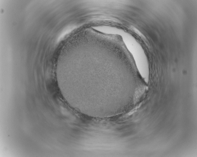 X0000088620775200706151851