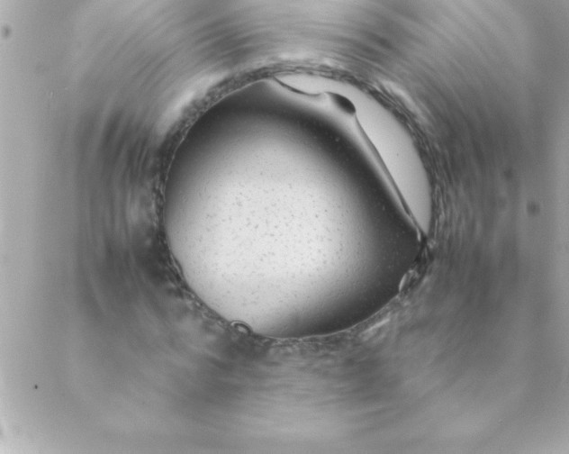 X0000088620776200706151851