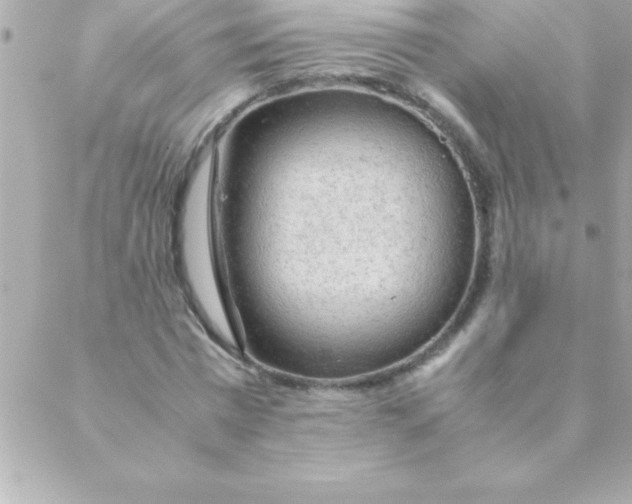 X0000088620777200706151851