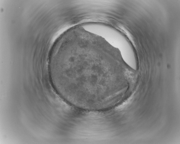 X0000088620779200706151851