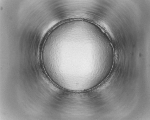 X0000088620780200706151851