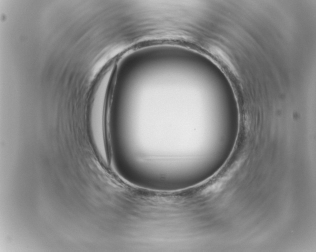 X0000088620781200706151851