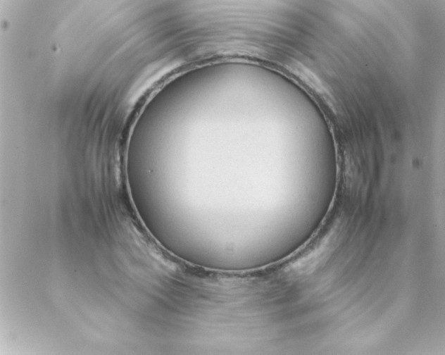 X0000088620782200706151851