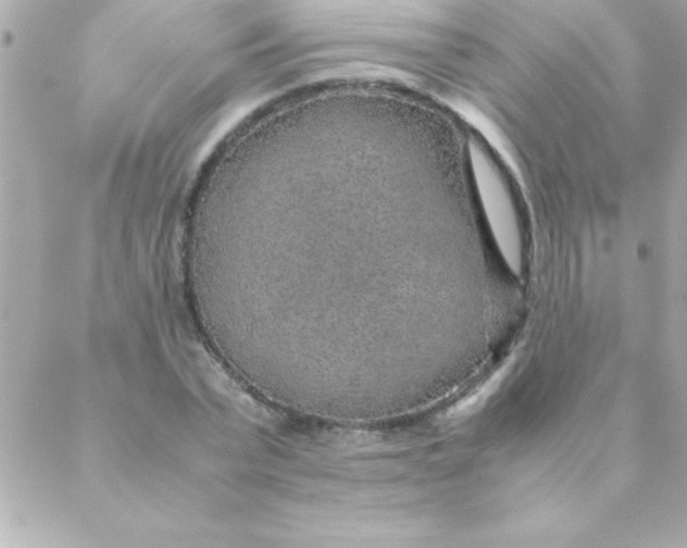 X0000088620783200706151851