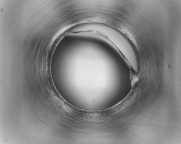 X0000088620784200706151851