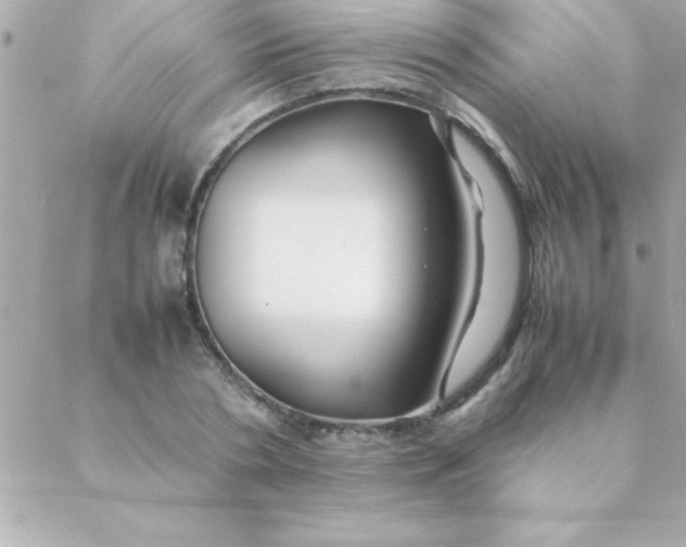 X0000088620786200706151851