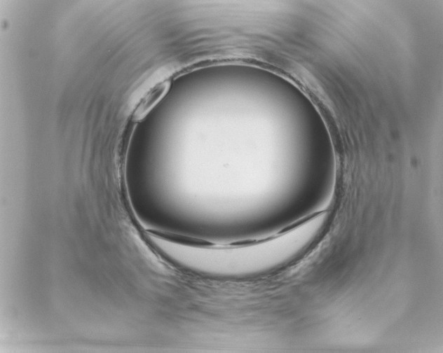 X0000088620789200706151851